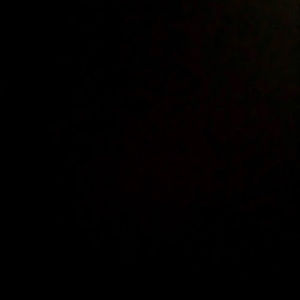 Meet your Posher, Carson